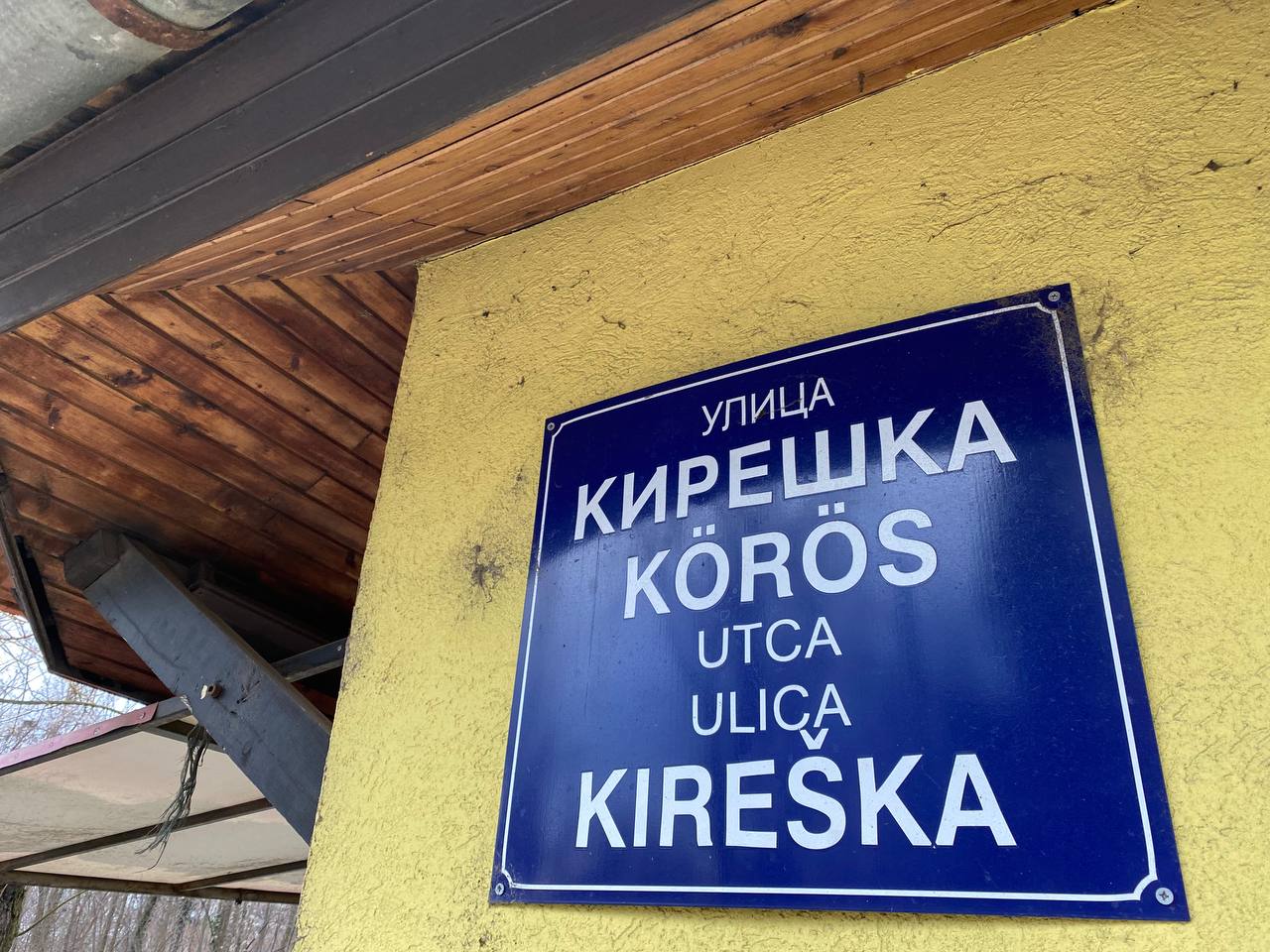 Stanari Kireške ulice u Subotici: Živimo u pesku, a svi se odriču odgovornosti 2