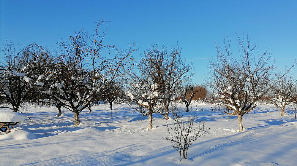 Kragujevac: U petak toplije, za vikend ostaje temperatura u plusu 1