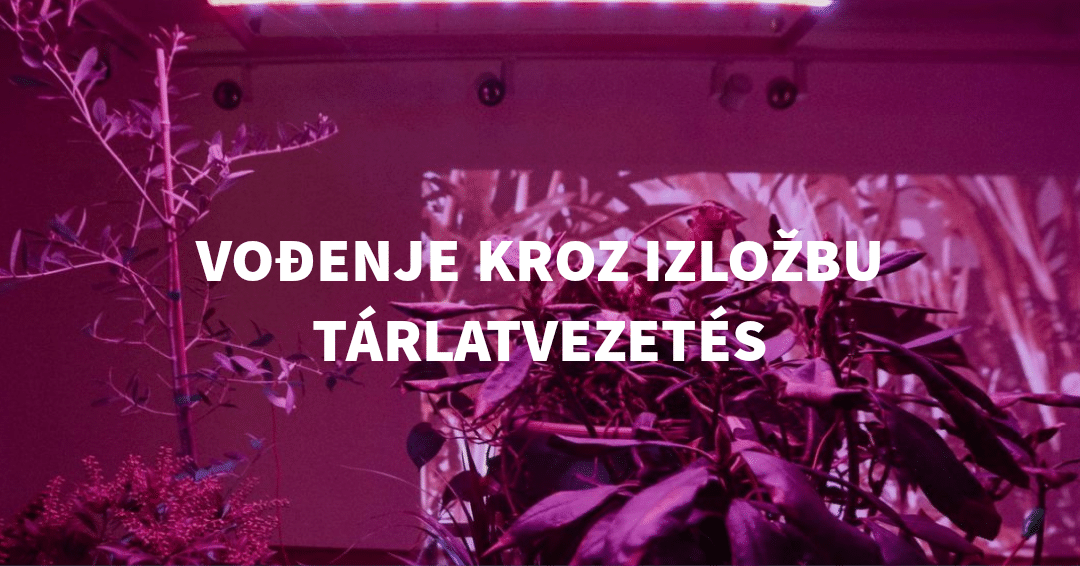 Savremena galerija Subotica: Vođenje kroz izložbu i promocija kataloga Hybrid Choices - Art, Nature, Technology 2