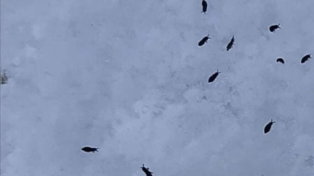 "Snežne buve" uznemirile građane u okolini Užica, nema razloga za strah, poručuju stručnjaci (VIDEO) 1