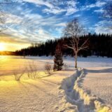 Stigla prognoza: U četvrtak najhladnije, a tokom nedelje smenjivaće se sneg i ledena kiša 3