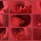 U Japanu počinju testiranje veštačkih crvenih krvnih zrnaca 2