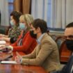 Evroparlamentarci poručili premijerki da su aprilski izbori važni za razvoj demokratije u Srbiji 9