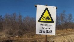 Ugrožena putna infrastruktura u borskim selima: Opasnost od saobraćajnih nezgoda 2