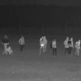 Migranti na graničnom prelazu smrznutom zemljom gađali mađarsko policijsko vozilo 9