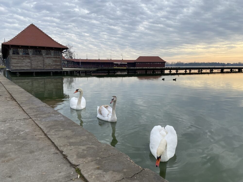 Medaković: Subotica jedna od retkih destinacija koja beleži povratak stranih turista 2 Medaković: Subotica jedna od retkih destinacija koja beleži povratak stranih turista 2