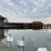 Palić je samo jedno od jezera, a Subotica ih ima još tri: Popularna mesta za prvomajski izlet na severu Vojvodine 16