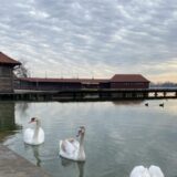 Palić je samo jedno od jezera, a Subotica ih ima još tri: Popularna mesta za prvomajski izlet na severu Vojvodine 14