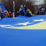 Sutra centralni protest dijaspore BiH 8