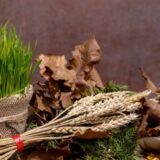 "Ja sam mali Pera, ujela me kera": Iako je sve manje božićnih običaja u Banatu opstaje korinđanje 3