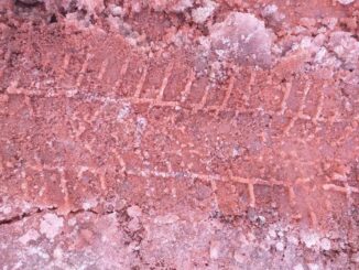 Stanovnici oko železare u Smederevu ukazuju na gori scenario nego u slučaju Rio Tinta 2