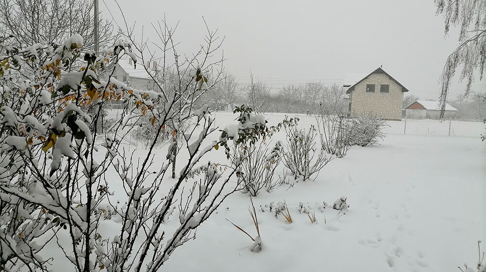 Kragujevac: Na snazi je narandžasti meteo alarm, saopštava Hidrometeorološki zavod 1
