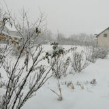 Kragujevac: Na snazi je narandžasti meteo alarm, saopštava Hidrometeorološki zavod 4