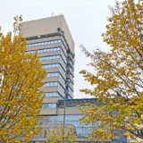 Zrenjaninski Vodotoranj, promašaj ili prilika 8