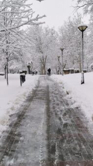 Zimska idila u Novom Pazaru brzo se pretvorila u kolaps na ulicama 14