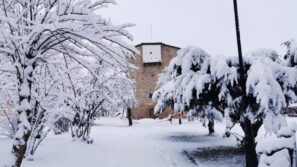 zima novi pazar Zimska idila u Novom Pazaru brzo se pretvorila u kolaps na ulicama 12