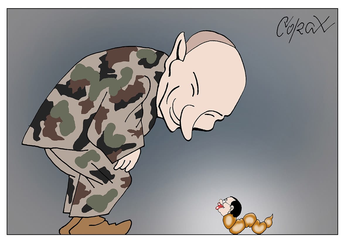 Corax 15