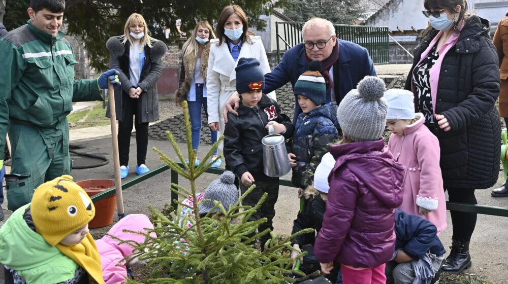 Vesić: Počela sadnja jelki koje je Grad donirao vrtićima 1