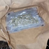 U Nišu uhapšena dvojica mladića zbog sumnje da su prodavali marihuanu 2