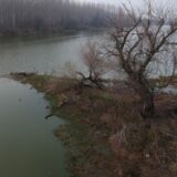 Nestaju vlažna staništa od kojih zavisi oko 40 odsto biljnih i životinjskih vrsta 1