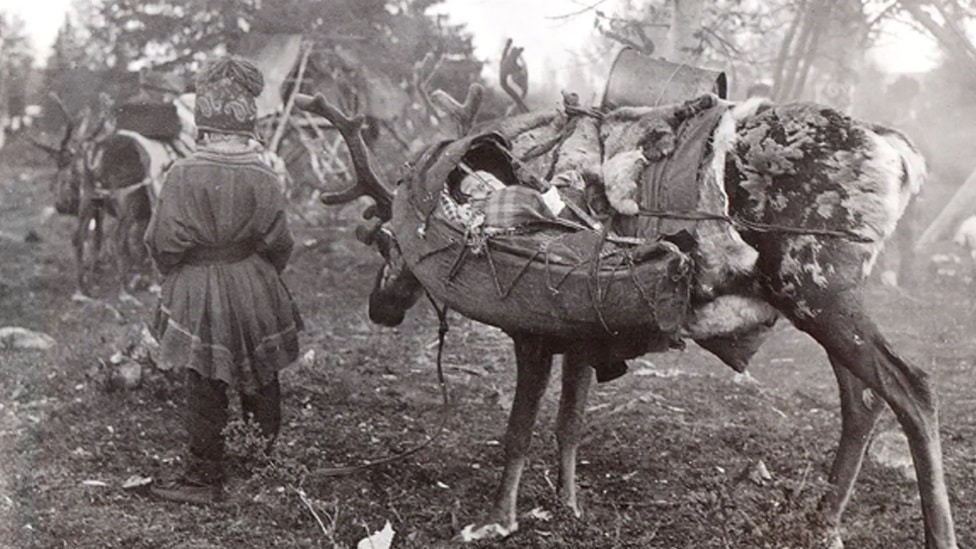 Laponske bebe i deca uče da budu fleksibilni u svojim navikama spavanja, kao na ovoj arhivskoj fotografiji iz 1930-ih