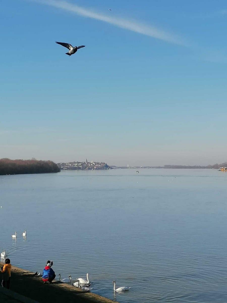 Reke, zagađenje, otpad i smeće oko splavova: Kada će Sava i Dunav u Beogradu biti čisti 7 Dunav