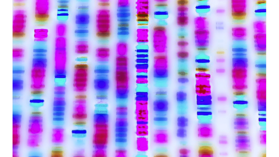 Illustration of a genome