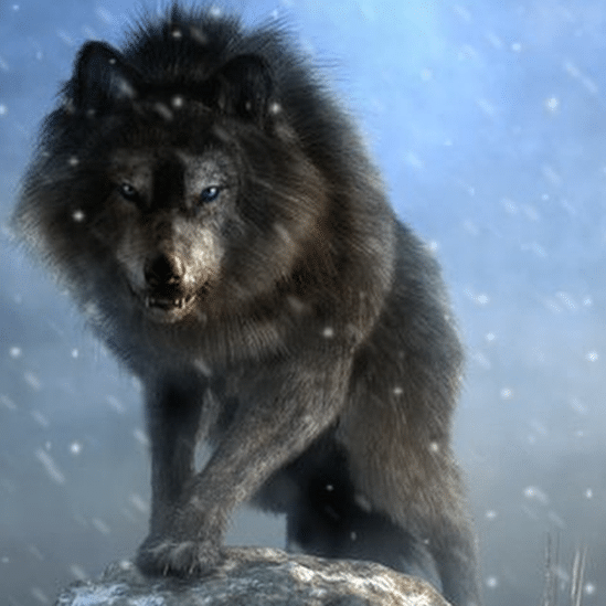Illustration of an ancient wolf