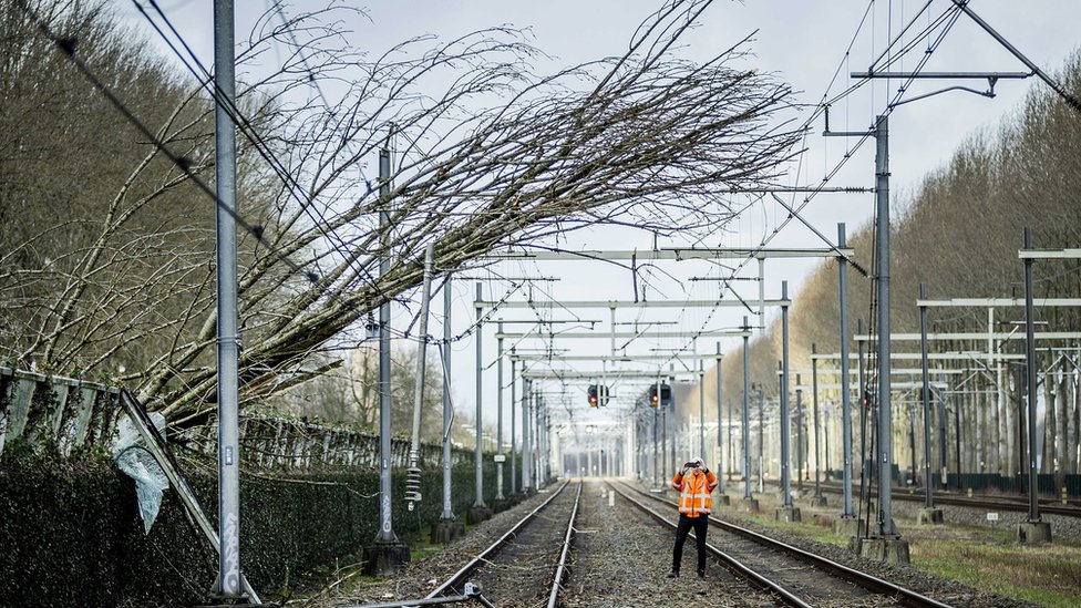 A fallen tree on railway power lines in the Netherlands