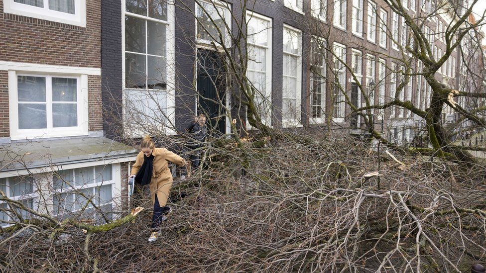 A woman steps through the branches of a fallen tree in Amsterdam
