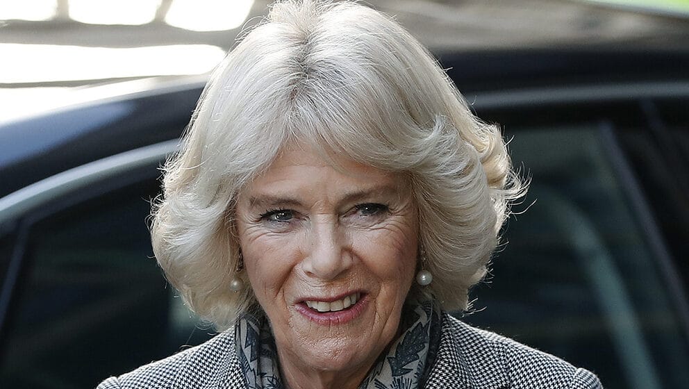 Kamila - vojvotkinja od Kornvola: Buduća kraljica 1