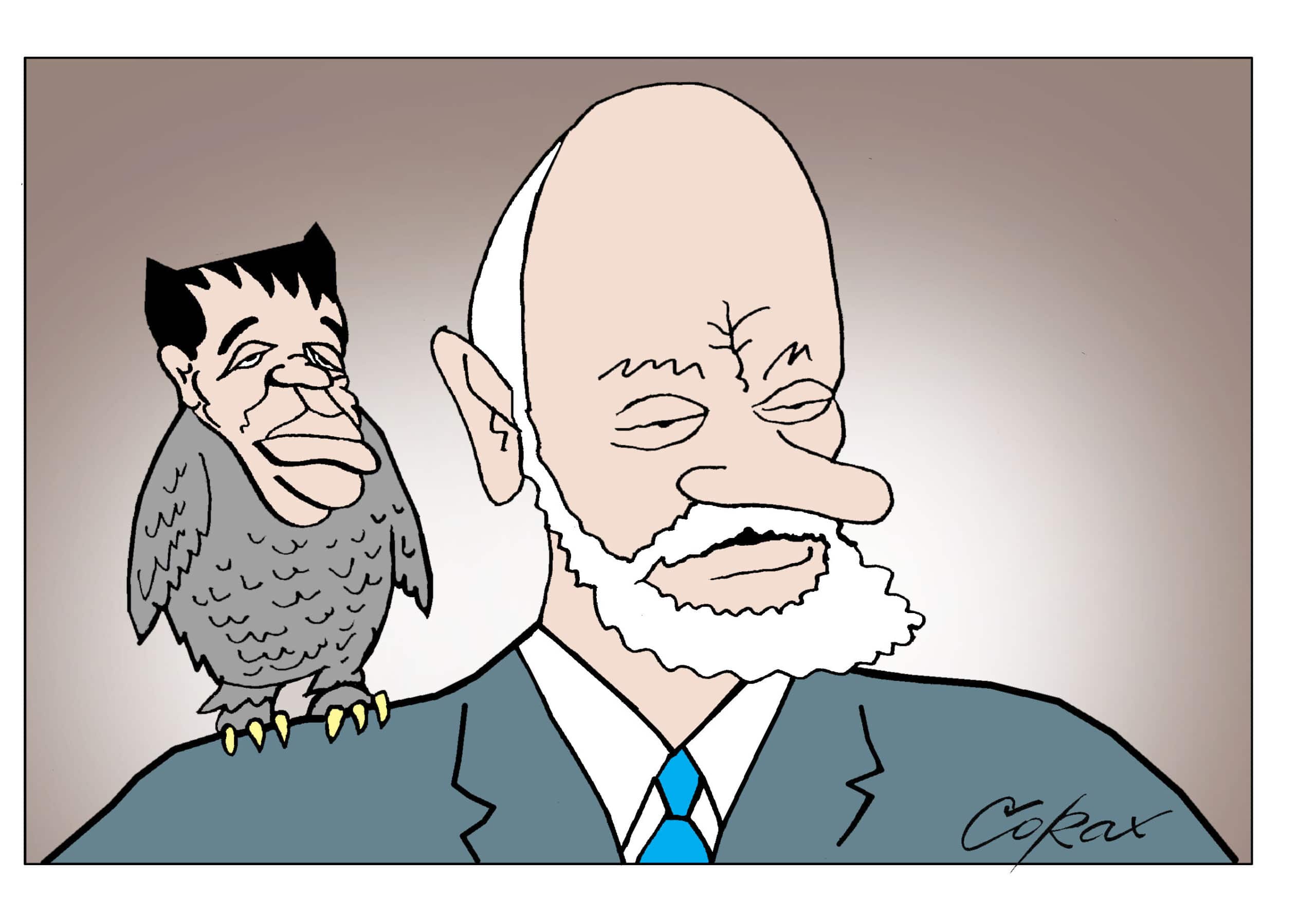 Corax 8