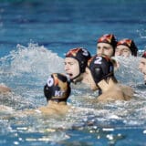 Dokle će biti tolerisan šovinizam navijača na sportskim takmičenjima? 14