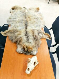 U Zoo vrtu na Paliću edukacija za đake, studente, carinike i policajce 2 U Zoo vrtu na Paliću edukacija za đake, studente, carinike i policajce 2