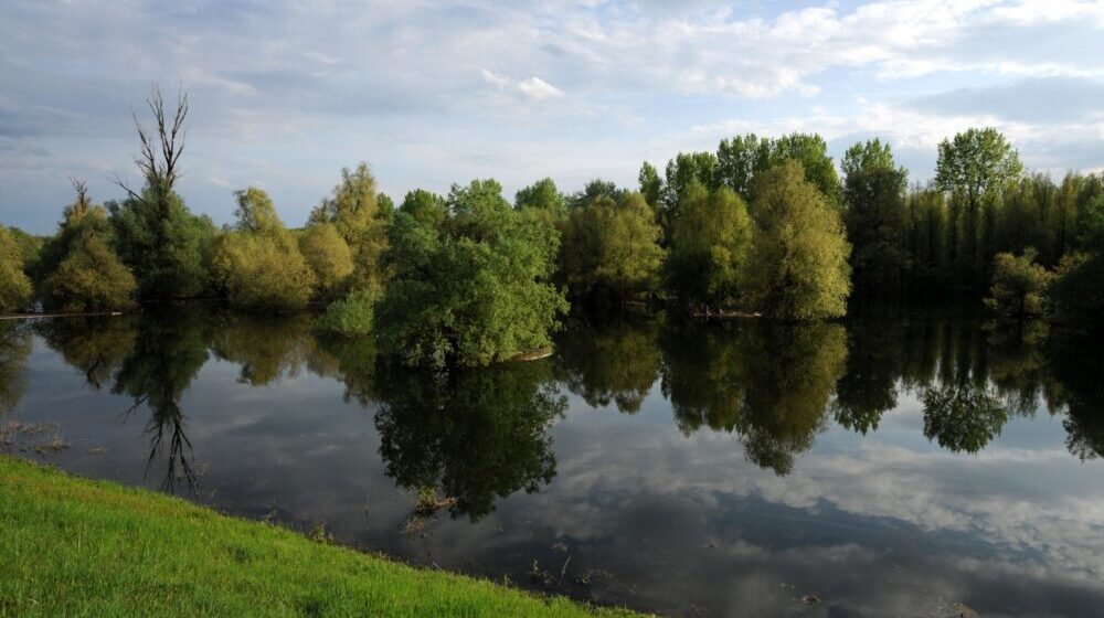 Evropski Amazon kao primer očuvanja vlažnih staništa 1