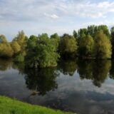 Evropski Amazon kao primer očuvanja vlažnih staništa 4