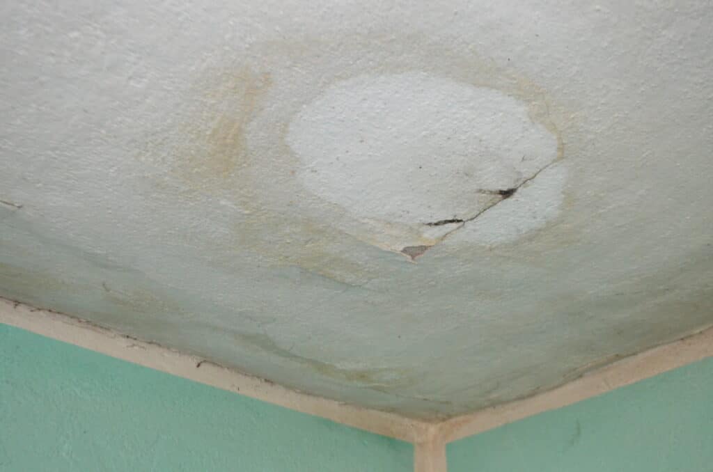 Teška sudbina porodice iz sela Toplac kod Vranja: Devojčica živi sa tatom i babom u trošnoj kući bez vode 5