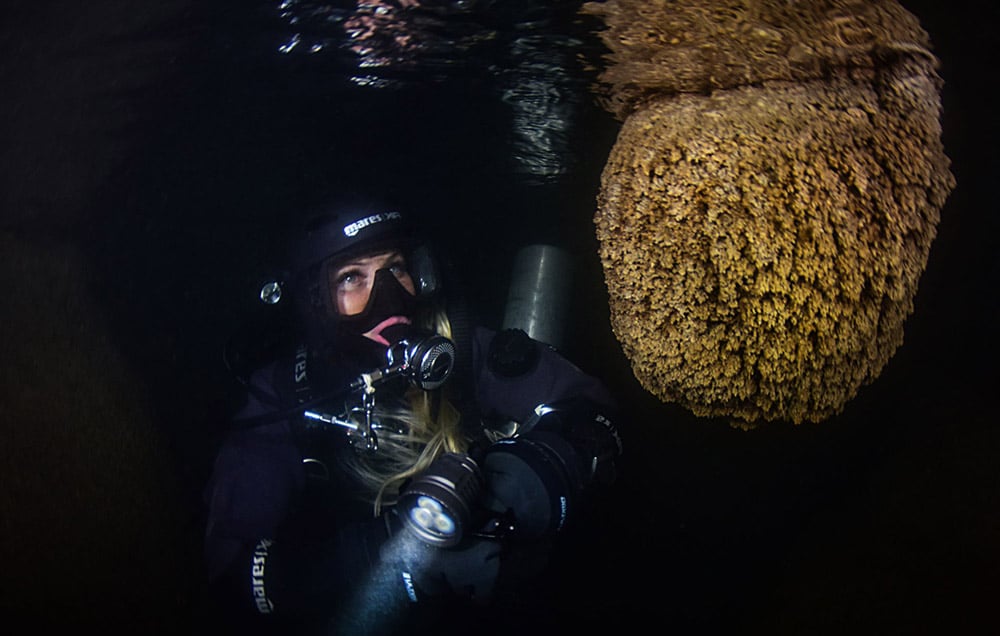 Ronioci „Nacionalne geografije“ istraživali i snimali Stopića pećinu na Zlatiboru (FOTO) 2 Ronioci „Nacionalne geografije“ istraživali i snimali Stopića pećinu na Zlatiboru (FOTO) 2