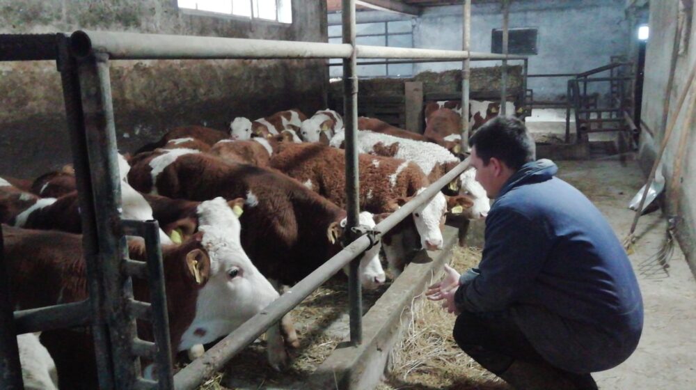 Šabac: Mlekari Mačvanskog okruga prosuće mleko u glavnoj ulici 1