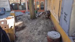 IMG-0e96c73114ac34815953d742471b9cf9-V Počelo čišćenje prostora oko Cvetne pijace, građani očekuju da im se vrate i zelene površine (FOTO) 3