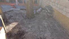 IMG-33ea2f99f08bfe37af5f9f209f8cb0a9-V Počelo čišćenje prostora oko Cvetne pijace, građani očekuju da im se vrate i zelene površine (FOTO) 6