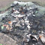 Fenomen: Subotičani često pale kontejnere, slučaj prijavljen policiji 8