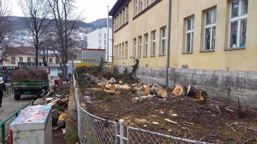 Užički odbor SSP traži rasformiranje komisije nadležne za seču drveća 1