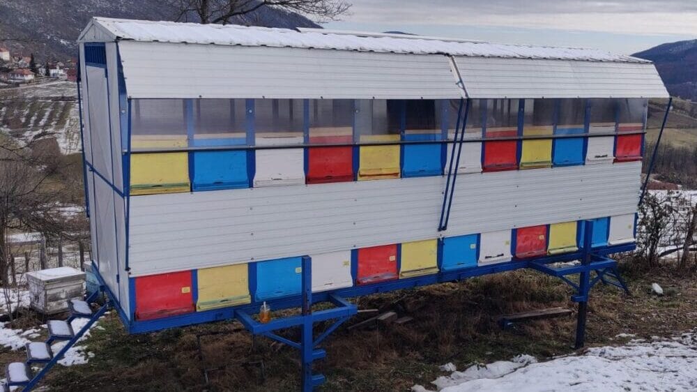 "Med sa jednom korovskom biljkom najbolji je sada, tokom kovida": Užički pčelar otkriva svoje tajne 6 "Med sa jednom korovskom biljkom najbolji je sada, tokom kovida": Užički pčelar otkriva svoje tajne 6