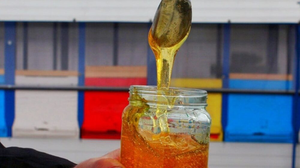 "Med sa jednom korovskom biljkom najbolji je sada, tokom kovida": Užički pčelar otkriva svoje tajne 1