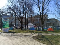 Dan ispred Predsedništva: Prolaznici se raspituju kako mogu da pomognu ljudima u šatorima (FOTO, VIDEO) 3