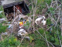 Subotica: Tik uz plodne oranice u selu Đurđin betonirana jama puna životinjskih leševa 7