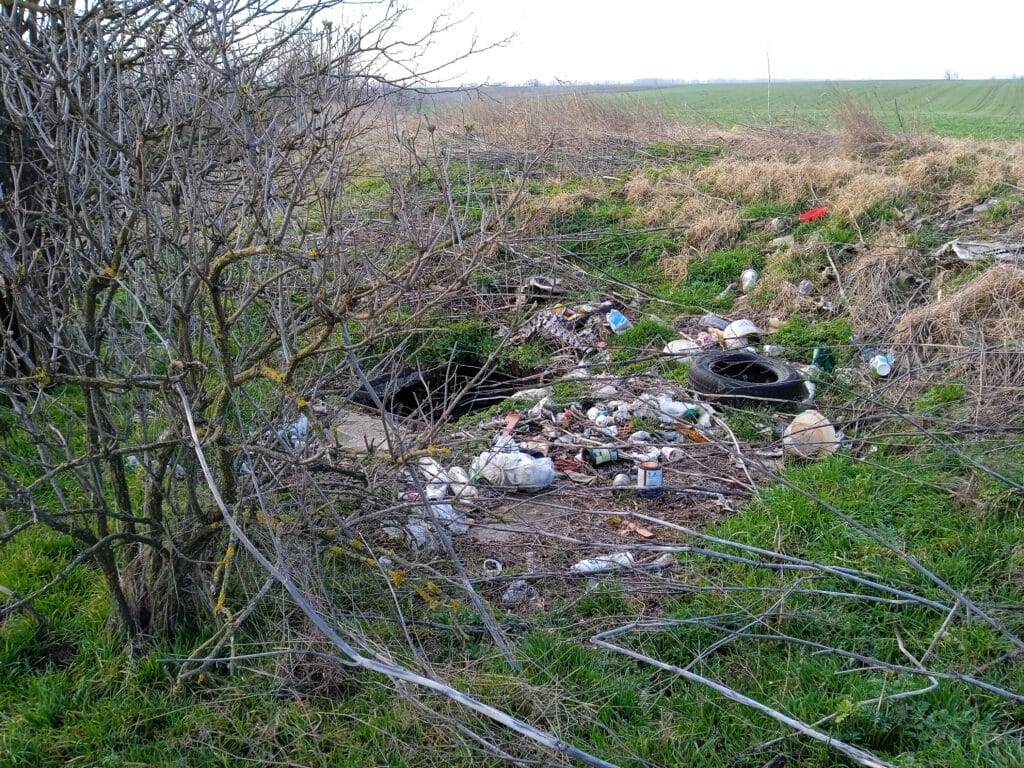 Subotica: Tik uz plodne oranice u selu Đurđin betonirana jama puna životinjskih leševa 2