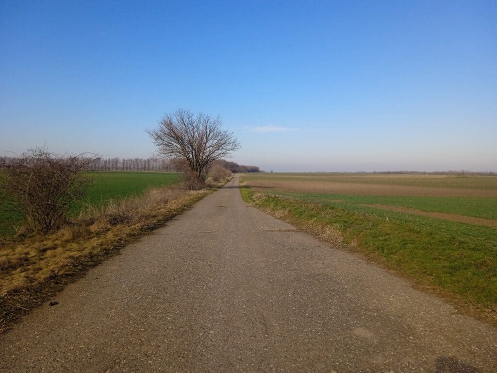 Subotica: Tik uz plodne oranice u selu Đurđin betonirana jama puna životinjskih leševa 9