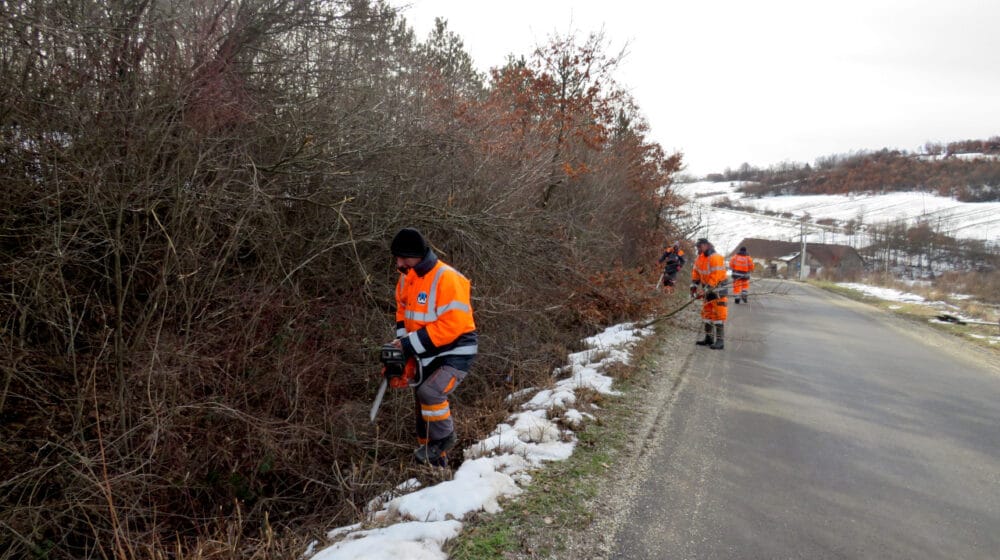 Kragujevac: U toku je orezivanje drveća, krčenje, košenje i uništavanje nepoželjne vegetacije na prilazima gradu 1